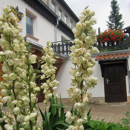 Stolberg i. Harz Ferienhaus Haus Am Wald מראה חיצוני תמונה