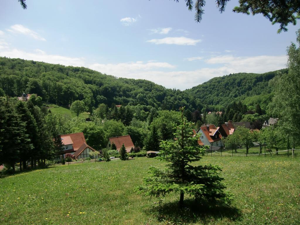 Stolberg i. Harz Ferienhaus Haus Am Wald מראה חיצוני תמונה