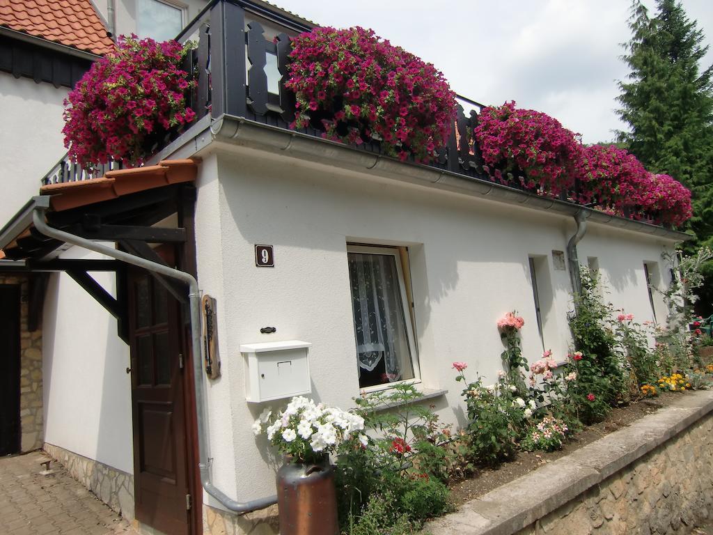 Stolberg i. Harz Ferienhaus Haus Am Wald חדר תמונה