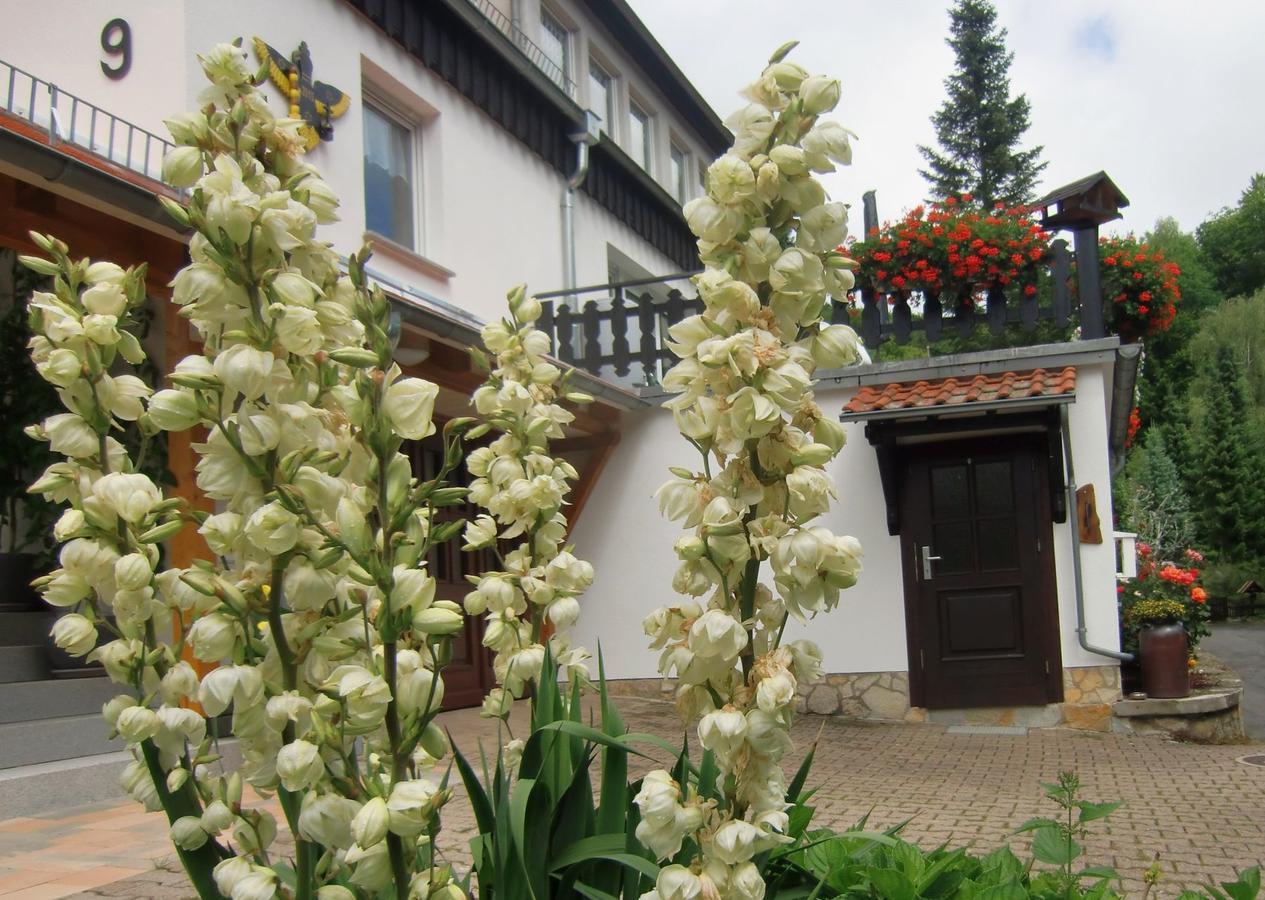 Stolberg i. Harz Ferienhaus Haus Am Wald מראה חיצוני תמונה