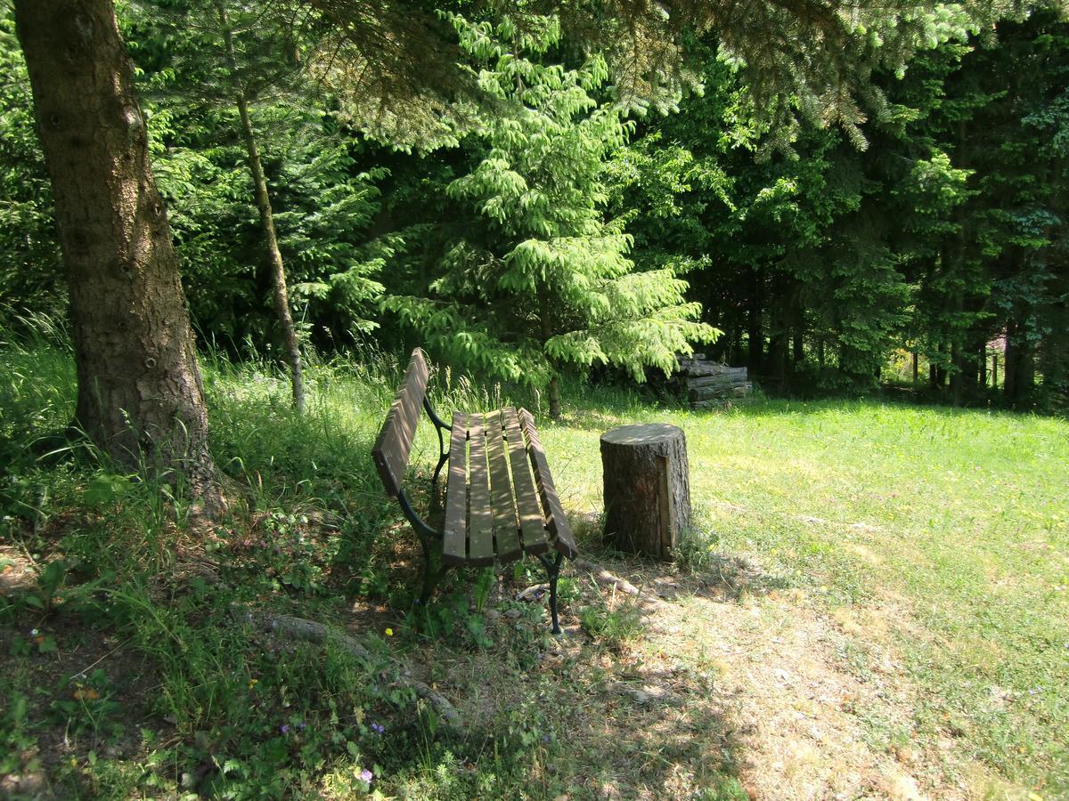Stolberg i. Harz Ferienhaus Haus Am Wald מראה חיצוני תמונה
